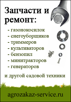 Мультибрендовый сервисный центр садовой техники Мультибрендовый сервисный центр садовой техники